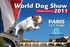 world-dog-show