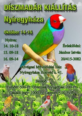 plakat2011-web480