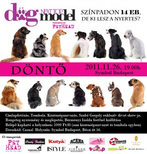 donto_flyer