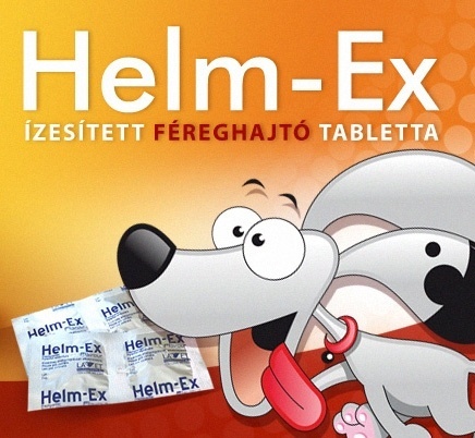 1 évre elegendő Helm-Ex féreghajtó tabletta kutyának