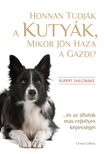 Rupert Sheldrake: Honnan tudják a kutyák, mikor jön haza a gazdi? c. könyv