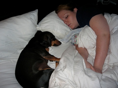 Alvás kutyával