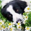 Kutya egy természet - avagy Bach doktor, a háziállatok legjobb
gyógyítója