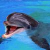 A palackorrú delfin