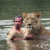 A barátságos oroszlán együtt úszik az emberrel