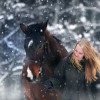 Hogyan tarthatod a lovaidat a tli hnapokban is melegen?