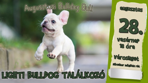 bulldogbuli