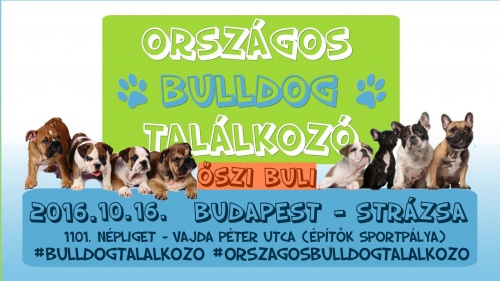 oszi_bulldog