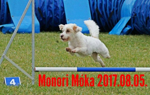 monori_moka