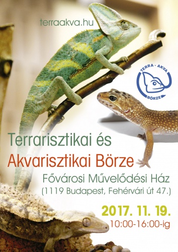 terra-akva-borze-2017-11