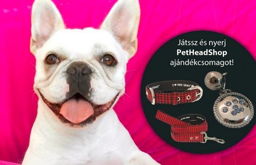 PetHead ajándékcsomag