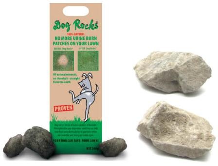 dog-rocks