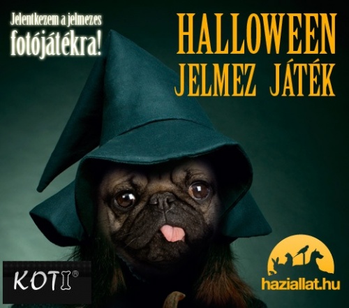 haziallat_halloween_520x450_mopsz_koti