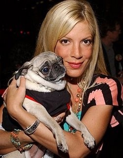 tori-spelling-mopsz