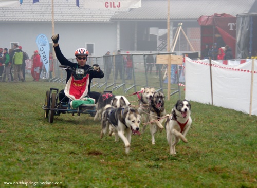 Köffer Lajos (6 kutyás szibériai husky fogat)