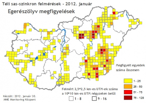 sas_szinkron_2012_butbut