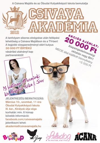 csivava_akademia_flyer_v2