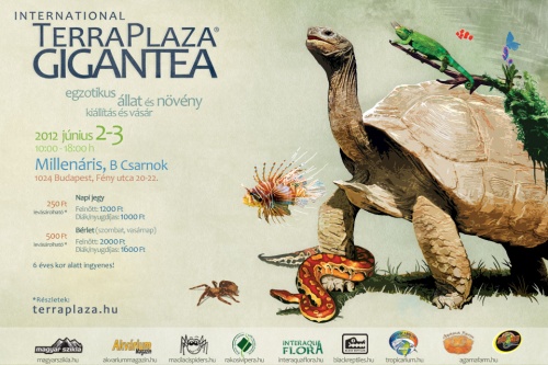 terraplaza_gigantea_2012