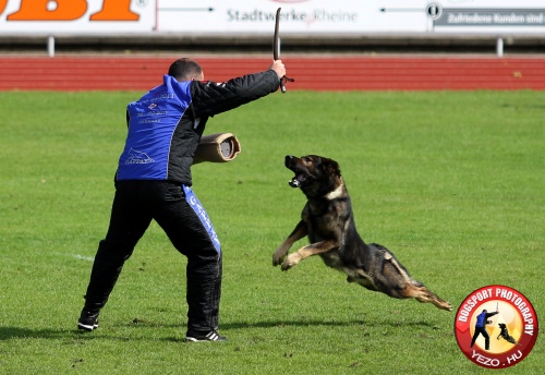 FCI IPO Munkakutya Világbajnokság