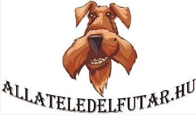 allateledelfutar-logo