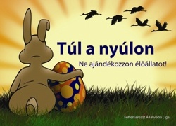 tul-a-nyulon