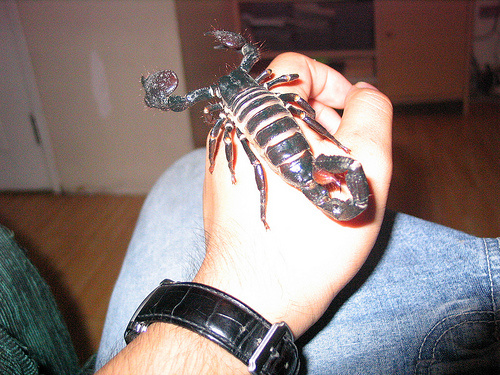 skorpio
