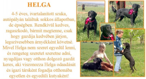 helga