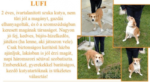 lufi