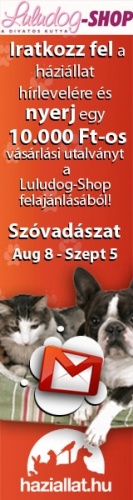 hirallat-banner