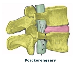 porckorongserv