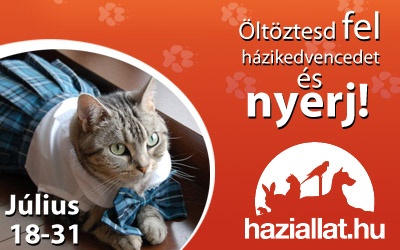oltoztetes-verseny