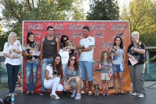 yorkshire-terrier-fesztival