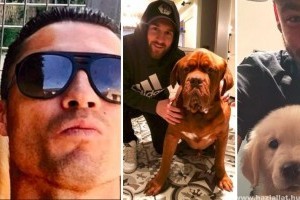 30 focista kedvenc kutyájával
