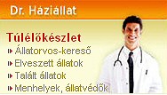 DR. HÁZIÁLLAT: KÉRDEZZ TE IS!