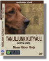 Kvíz: nyertesek és nyeremények