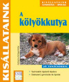 Kvíz: nyertesek és nyeremények