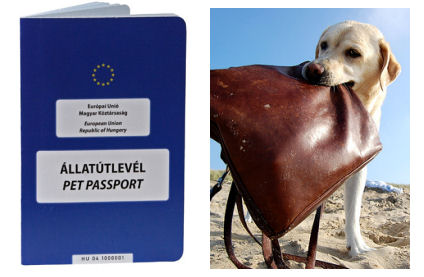 állatútlevél, pet passport