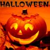 Halloween kalandtúra a Budakeszi Vadasparkban