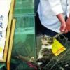 A macskahús Kínában ínyencfalatnak számít
