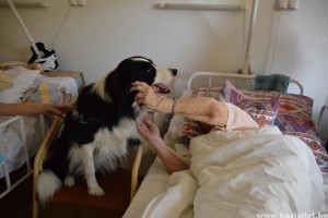 Idősek Világnapja: Értelmi sérültek kutyás terápiás képzését segítik idősek