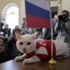 Egy futballcsapatnyi állat jósolja a meccsek eredményét Oroszországban