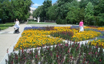 park, kutya, sétáltatás