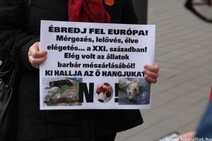 Az Állatvédőrség is küzd az ukrajnai állatirtások megfékezéséért