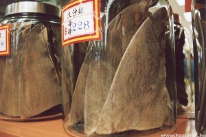 Megtiltják a cápauszony felszolgálását Kínában