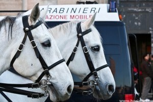 Állatvédők és lovaskocsi-hajtók harca Rómában