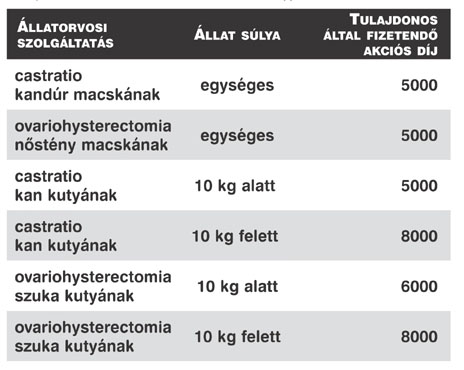 Ivartalanítási akció a Sirius Alapítvány szervezésében!