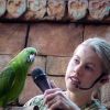 Hogyan tanítsuk meg a madarat beszélni?