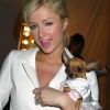 Hilton kutyaszálló - avagy Paris Hilton 46 millió forintos kutyaháza