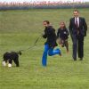 Bo, Barack Obama kutyája