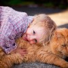 6 cuki cicaölelős videó a Nemzetközi öleld meg macskádat nap alkalmából